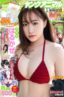 电视剧乔家大院