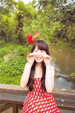 杨伯涛