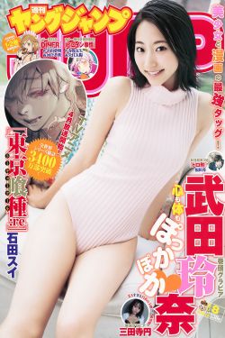 花落伴