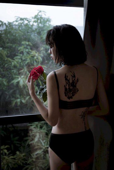 精英律师 电视剧