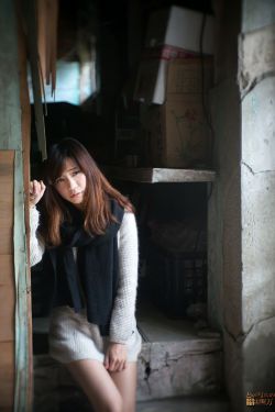 猎场电视剧全集免费观看完整版高清